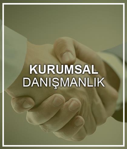 DANIŞMANLIK HİZMETLERİ